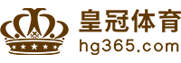Logo 亚美体育